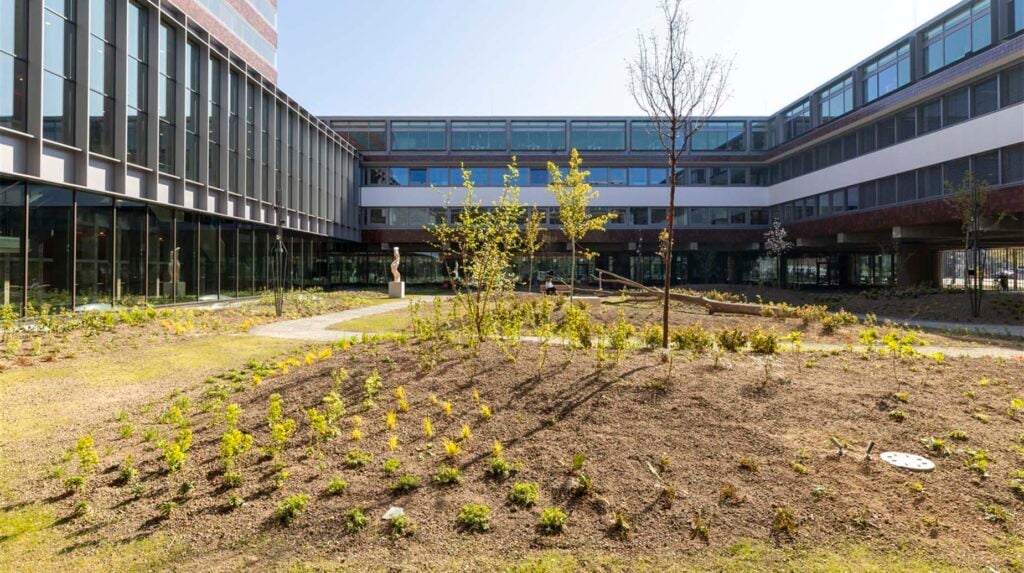 Binnentuin van De Nederlandsche Bank met jonge bomen en nieuwe beplanting, omringd door moderne kantoorgebouwen