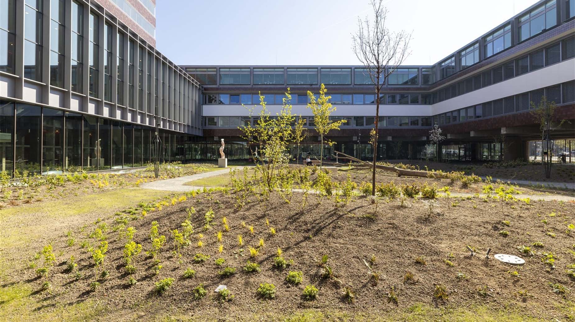Binnentuin van De Nederlandsche Bank met jonge bomen en nieuwe beplanting, omringd door moderne kantoorgebouwen