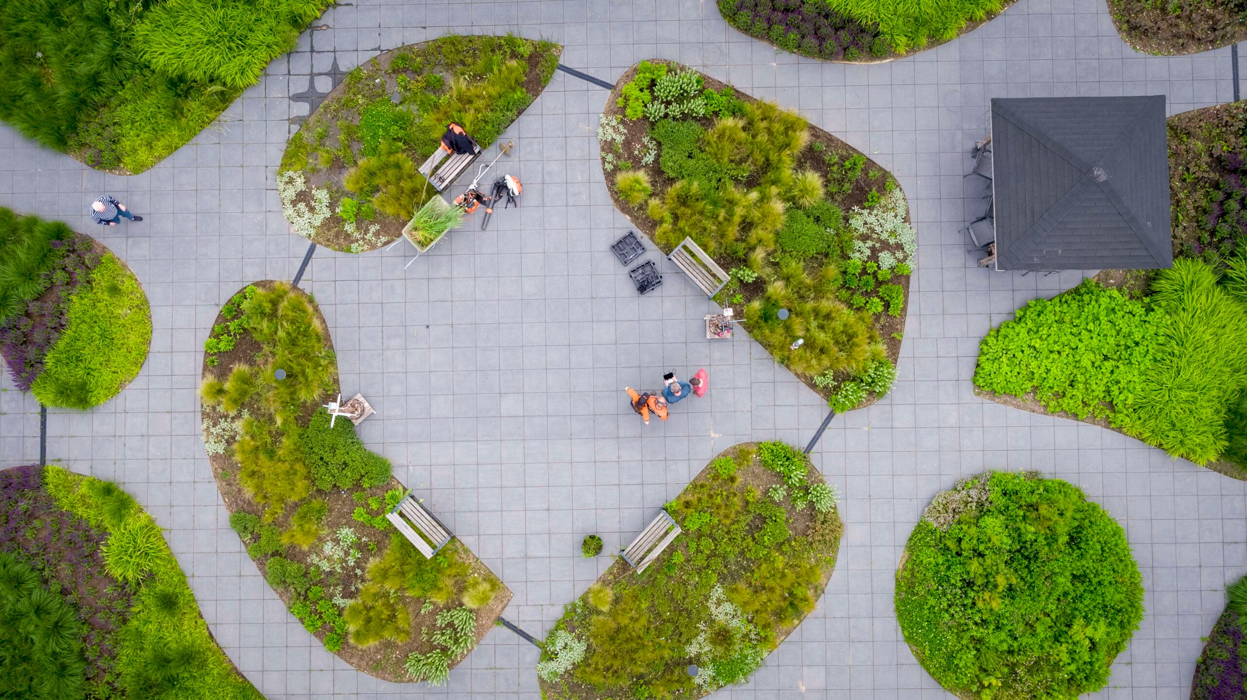 Aanleg van groene buitenruimte met nieuwe beplanting.