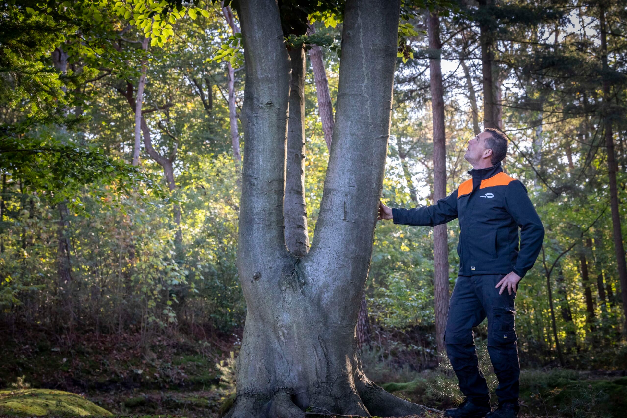 Medewerker tussen bomen en planten in een groene omgeving.